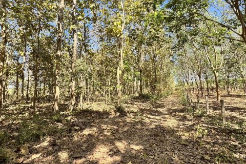 Terrain à Sakon Nakhon, Thaïlande 43200 m2 № 164334 - photo 10