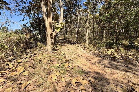 Terrain à Sakon Nakhon, Thaïlande 43200 m2 № 164334 - photo 12