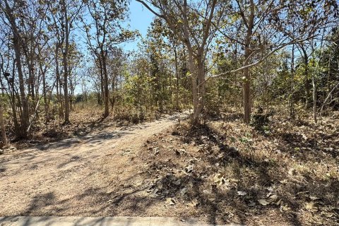 Terrain à Sakon Nakhon, Thaïlande 43200 m2 № 164334 - photo 4