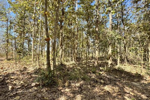Terrain à Sakon Nakhon, Thaïlande 43200 m2 № 164334 - photo 11