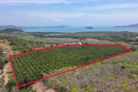 Land in Phuket, Thailand 83200 sq.m. № 164337 - photo 1