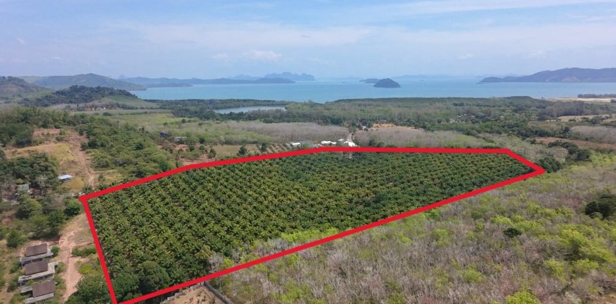 Land in Phuket, Thailand 83200 sq.m. № 164337