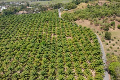 Land in Phuket, Thailand 83200 sq.m. № 164337 - photo 14