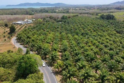 Land in Phuket, Thailand 83200 sq.m. № 164337 - photo 15