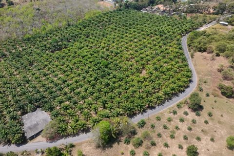 Land in Phuket, Thailand 83200 sq.m. № 164337 - photo 9