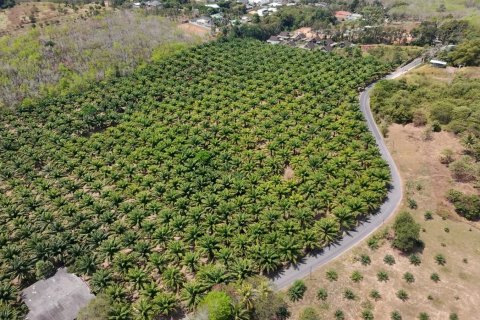 Land in Phuket, Thailand 83200 sq.m. № 164337 - photo 11