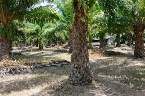 Land in Phuket, Thailand 83200 sq.m. № 164337 - photo 5