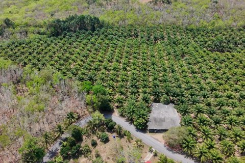 Land in Phuket, Thailand 83200 sq.m. № 164337 - photo 8