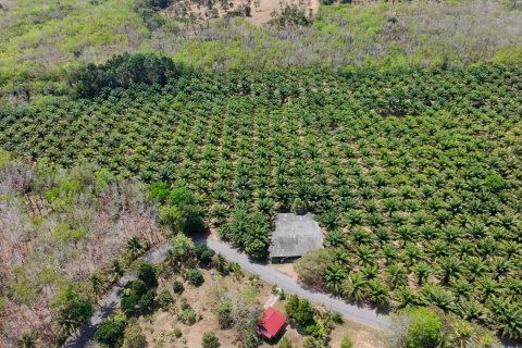 Land in Phuket, Thailand 83200 sq.m. № 164337 - photo 10