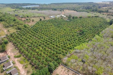 Land in Phuket, Thailand 83200 sq.m. № 164337 - photo 13