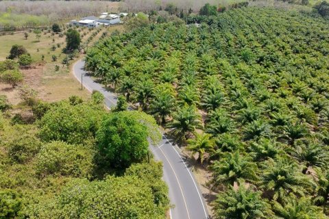 Land in Phuket, Thailand 83200 sq.m. № 164337 - photo 17