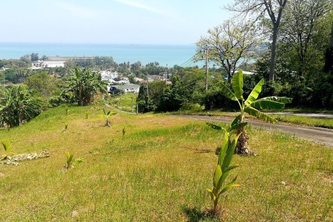 Terrain à Phuket, Thaïlande 8872 m2 № 163102 - photo 7