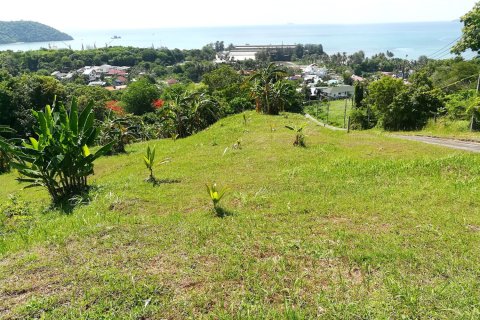 Terrain à Phuket, Thaïlande 8872 m2 № 163102 - photo 2