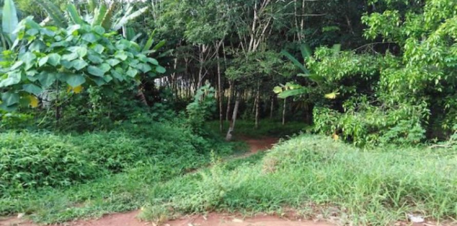 Terrain à Phang Nga, Thaïlande 20800 m2 № 193573