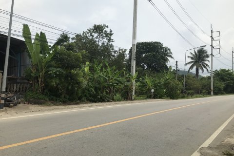 Land in Mae Taeng, Thailand 16000 sq.m. № 158996 - photo 5