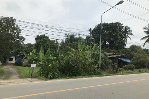 Land in Mae Taeng, Thailand 16000 sq.m. № 158996 - photo 4