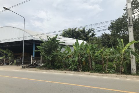 Land in Mae Taeng, Thailand 16000 sq.m. № 158996 - photo 2