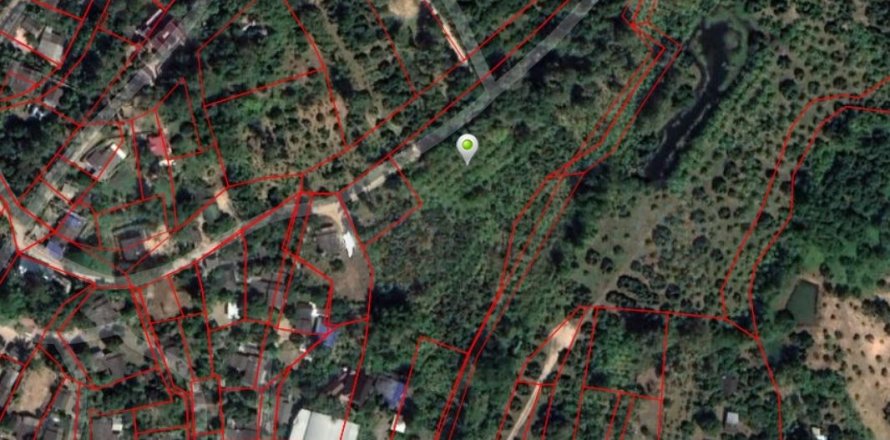 Land in Mae Taeng, Thailand 16000 sq.m. № 158996
