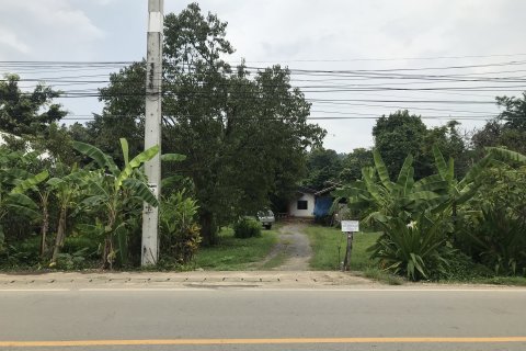 Land in Mae Taeng, Thailand 16000 sq.m. № 158996 - photo 8