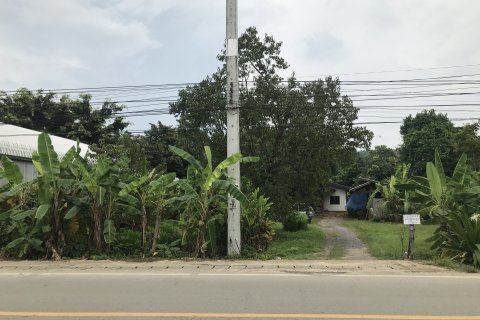 Land in Mae Taeng, Thailand 16000 sq.m. № 158996 - photo 3