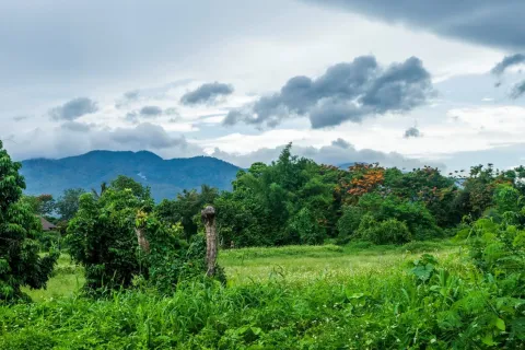 Land in Mae Rim, Thailand 4800 sq.m. № 154312 - photo 2