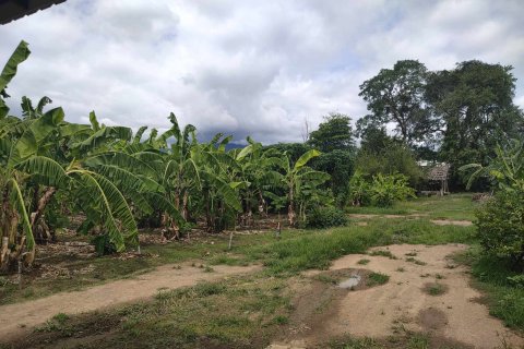 Land in Mae Rim, Thailand 4800 sq.m. № 154312 - photo 10