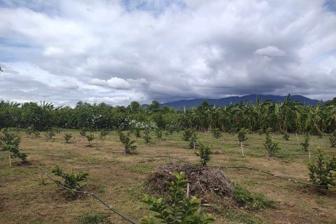 Land in Mae Rim, Thailand 4800 sq.m. № 154312 - photo 6