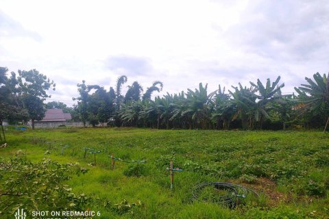 Land in Mae Rim, Thailand 4800 sq.m. № 154312 - photo 5