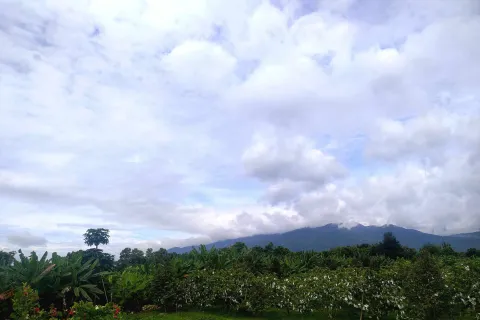 Land in Mae Rim, Thailand 4800 sq.m. № 154312 - photo 3