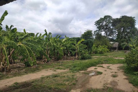 Land in Mae Rim, Thailand 4800 sq.m. № 154312 - photo 8