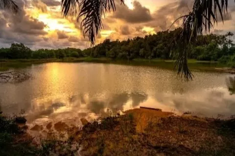 Земельный участок в Пхангнге, Таиланд 1952м2 № 142666 - фото 8