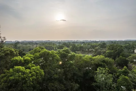 Земельный участок в Пхангнге, Таиланд 1952м2 № 142666 - фото 6