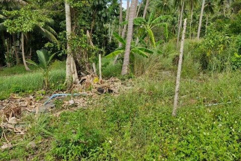 Земельный участок в Самуи, Таиланд 5928м2  № 144774 - фото 10