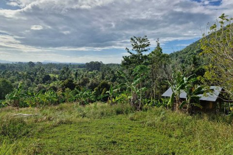 Земельный участок в Самуи, Таиланд 5928м2  № 144774 - фото 6