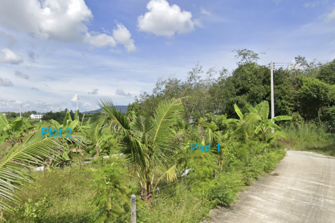 Земельный участок в Пхукете, Таиланд 4800м2  № 144772 - фото 4