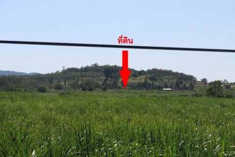 Terrain à Hua Hin, Thaïlande 51200 m2 № 173663 - photo 3