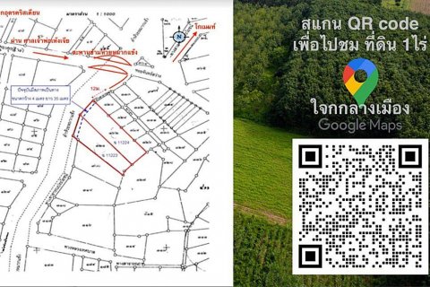 Land in Udon Thani, Thailand 1600 sq.m. № 137741 - photo 11