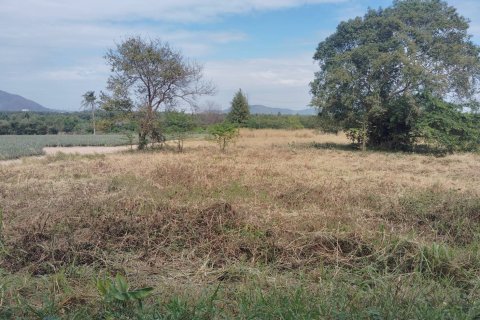 Land in Pattaya, Thailand 20800 sq.m. № 173225 - photo 5