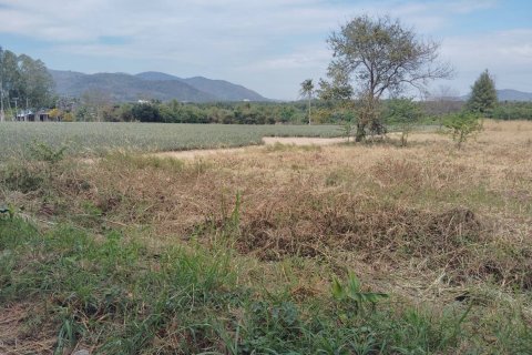 Land in Pattaya, Thailand 20800 sq.m. № 173225 - photo 4