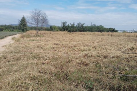 Land in Pattaya, Thailand 20800 sq.m. № 173225 - photo 7