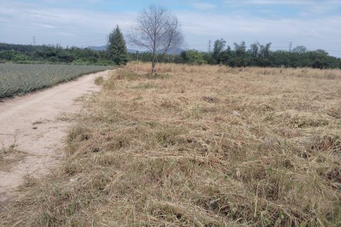 Land in Pattaya, Thailand 20800 sq.m. № 173225 - photo 6