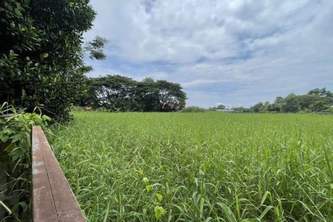 Land in Chiang Mai, Thailand № 119958 - photo 3