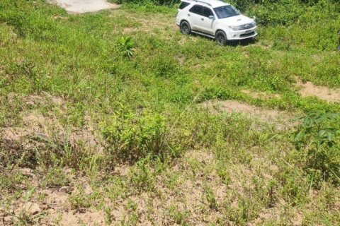 Land in Ko Samui, Thailand 6640 sq.m. № 153667 - photo 5