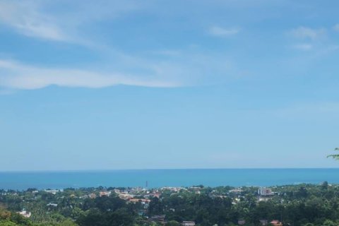 Land in Ko Samui, Thailand 6640 sq.m. № 153667 - photo 7