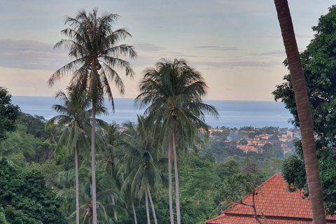 Земельный участок в Самуи, Таиланд 1427м2  № 153666 - фото 5