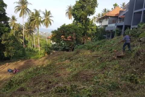 Земельный участок в Самуи, Таиланд 1427м2  № 153666 - фото 2