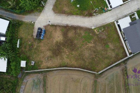 Земельный участок в Чиангмае, Таиланд № 205549 - фото 9