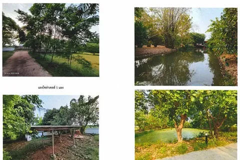 Land in Khon Kaen, Thailand 8000 sq.m. № 162158 - photo 10