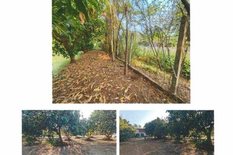 Land in Khon Kaen, Thailand 8000 sq.m. № 162158 - photo 11