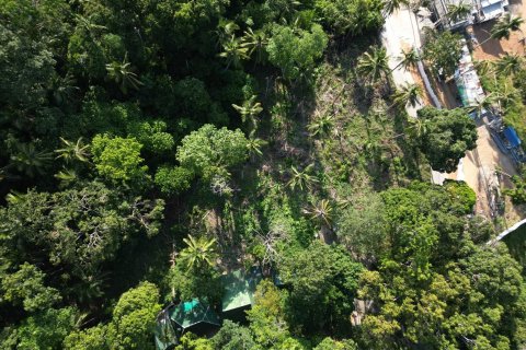 Terrain à Ko Samui, Thaïlande 1600 m2 № 162152 - photo 7